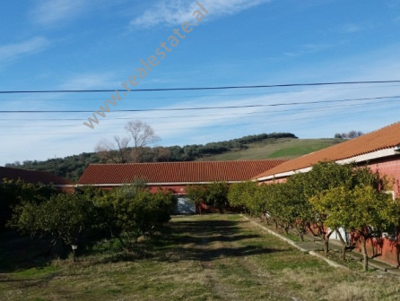 Land and Joinery building for sale near Lushnja City, Albania (LUS-216-2b)