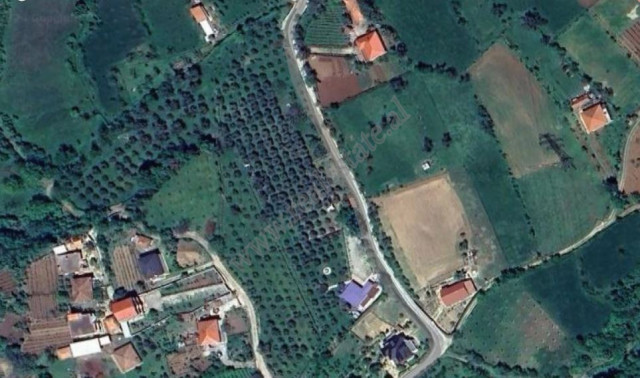 Land for sale in Gurre e Madhe Village, near Mulleti area, in Tirana, Albania
