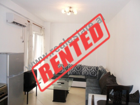 One bedroom apartment for rent close to artificial Lake in Tirana , Albania (TRR-414-58b)