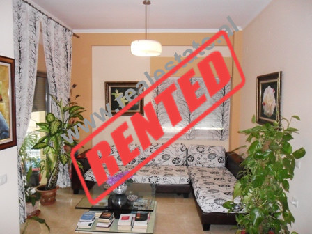 Two bedroom apartment for rent close to Artificial Lake in Tirana , Albania  (TRR-714-39b)