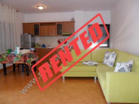One bedroom apartment for rent in Tirana, near Skenderbeg Square, Albania (TRR-216-8b)