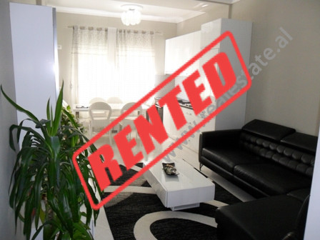 Two bedroom apartment for rent in Blloku area in Tirana, Albania (TRR-916-25b)