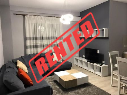 Apartament 2+1 me qera afer qendres Kristal te Komuna e Parisit ne Tirane (TRR-1116-8D)