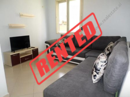 One bedroom apartment for rent close to Artificial Lake in Tirana, Albania (TRR-517-30L)