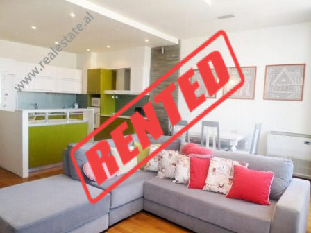 Duplex apartment for rent in Rrapo Hekali street in Tirana, Albania (TRR-917-23d)