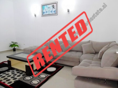 Two bedroom apartment for rent close to Blloku area in Tirana, Albania (TRR-1118-50L)