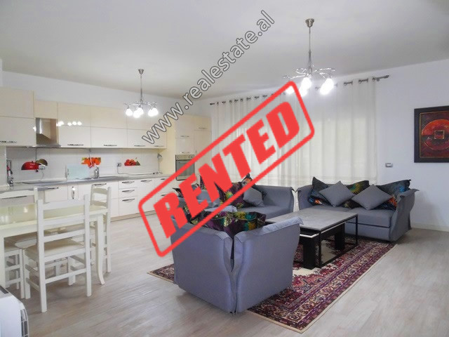 Modern three bedroom apartment for rent near Vaso Pasho Street in Tirana , Albania (TRR-1114-9L)