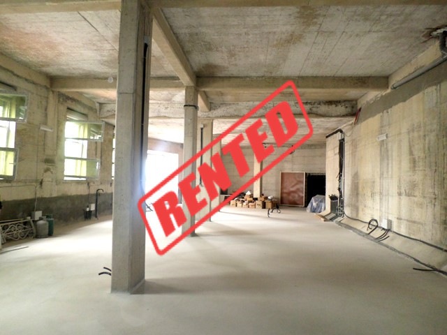 Warehouse for rent near Botanic Garden in Tirana, Albania. (TRR-519-21T)