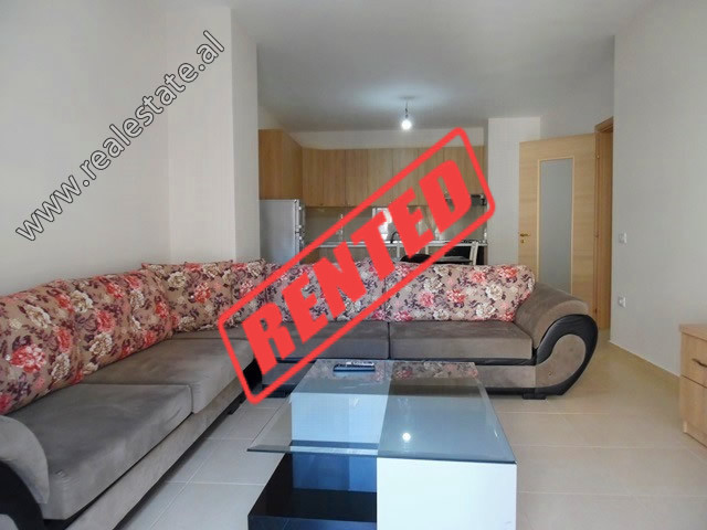 One bedroom apartment for rent in Tirana, near Don Bosko area, Albania (TRR-116-43L)