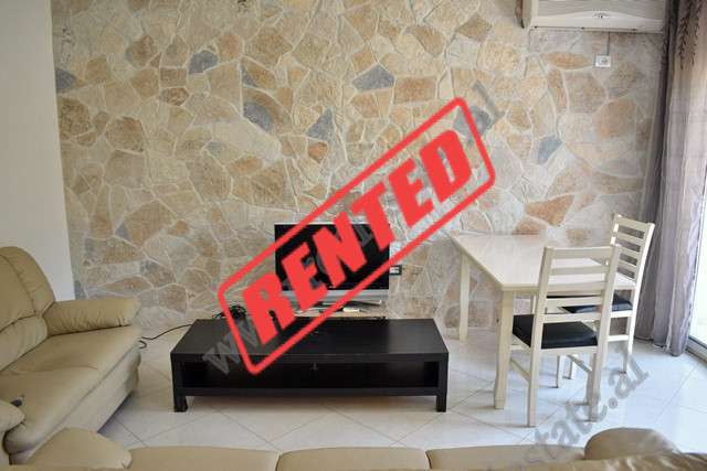 Apartament 1+1 me qera ne zonen e Liqenit Artificial ne Tirane