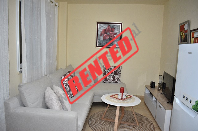 One bedroom apartment for rent in Liqeni i Thate area, in Tirana, Albania