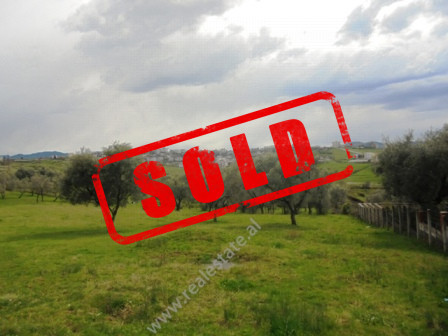 Land for sale in Tirana, near Ali Demi street, Albania