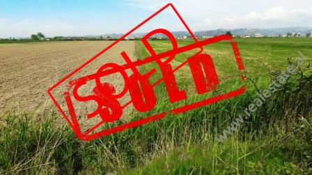 Land for sale close to Lushnje District (LUS-417-1L)
